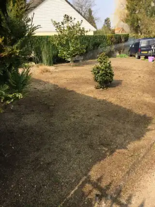 Semis-de-pelouse